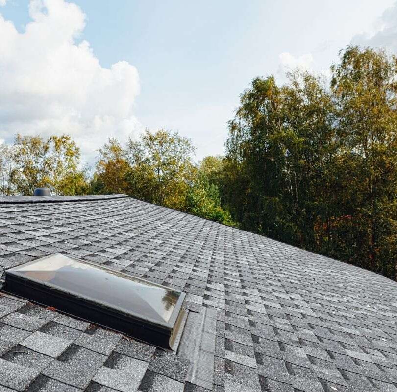Avoid Expensive Roof Replacements